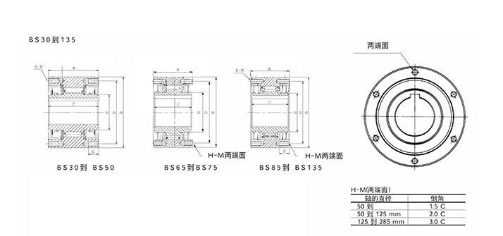 BS滾柱逆止器結(jié)構(gòu)圖